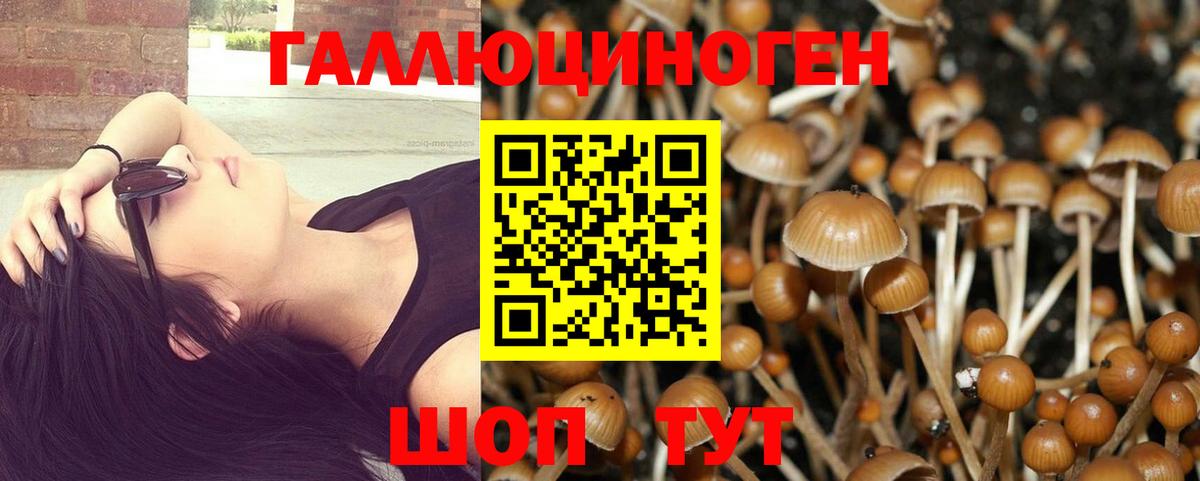 Галлюциногенные грибы Magic Shrooms Видное